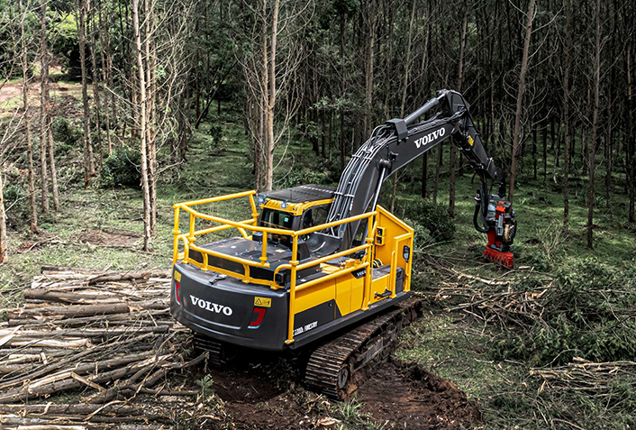 Excavadora Volvo EC220DL Forestry